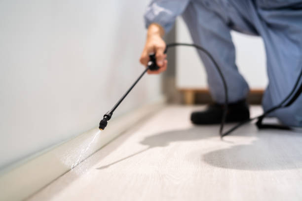 Licensed Fumigation Services service in Sylvania, GA - Nex Pest Control