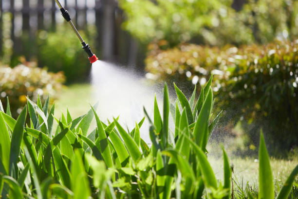24/7 Emergency Fumigation Services experts in Sylvania, GA